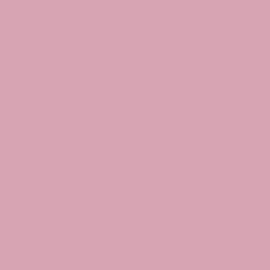 PInkon Canvas OPI Downtown LA Color Swatch