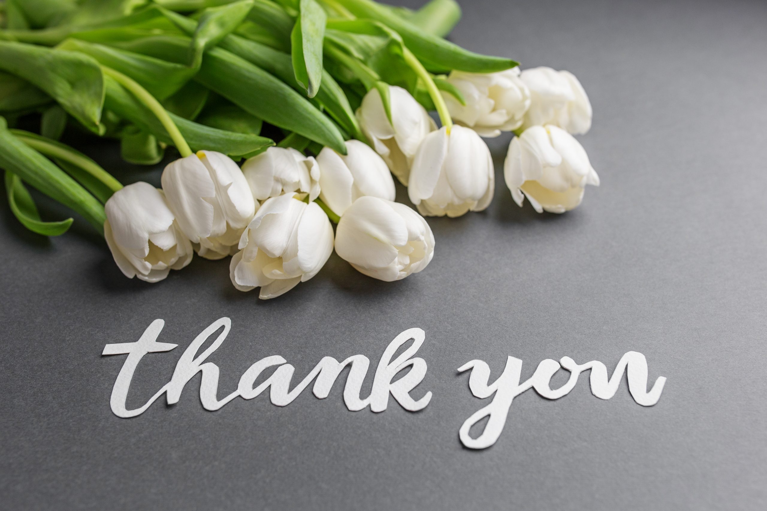 Tulips next to 'thank you' message as appreciation from our CEO, Joey Pham.