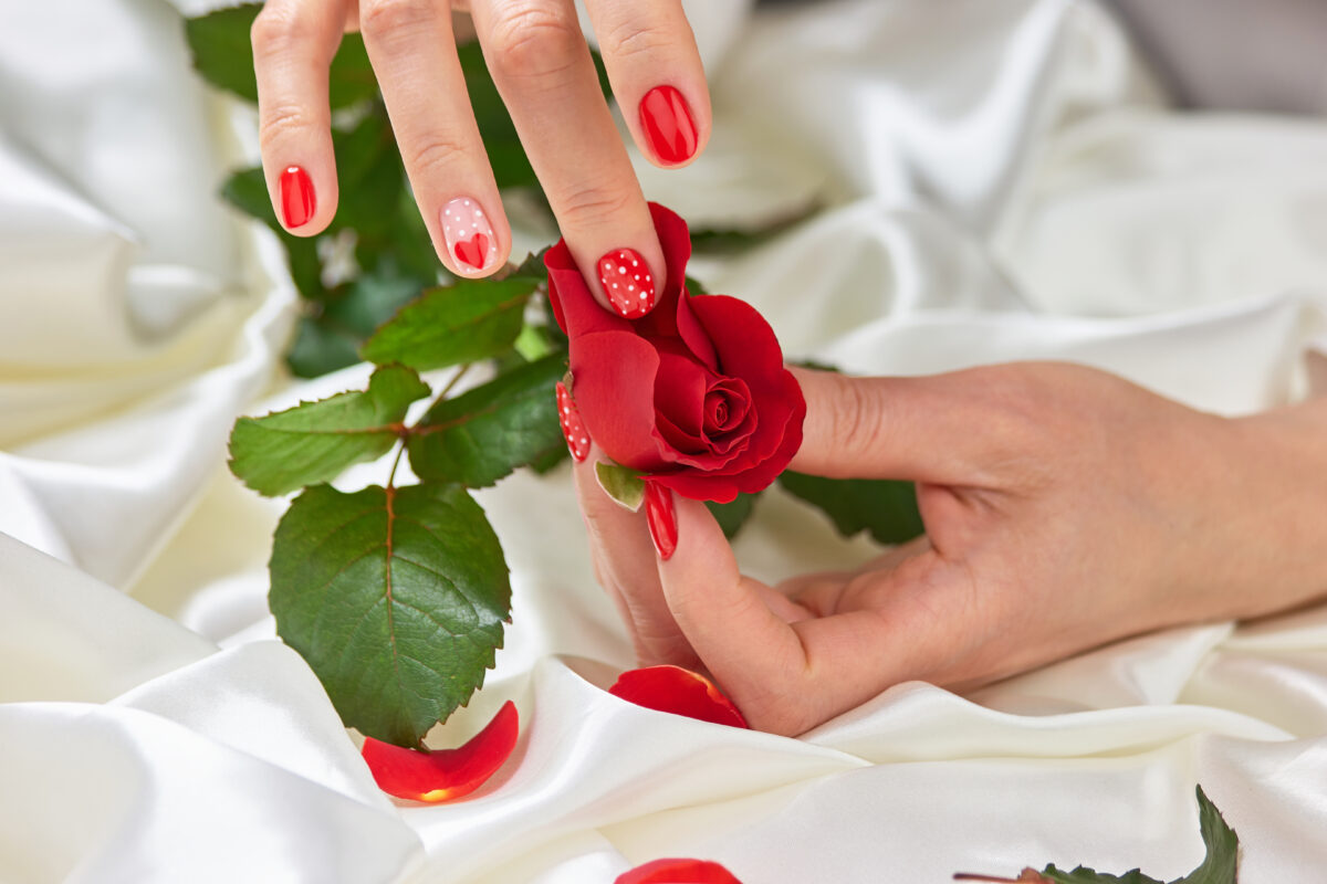 Two hands with red gel-painted nails adorned with white dot nail art hold a beautiful red flower. nail enhancements
