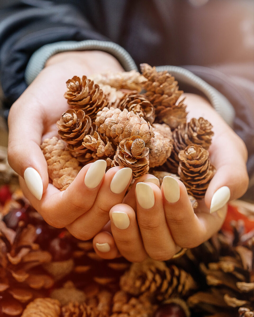 A faceless woman wearing a gray shirt is holding pine cones with ivory pearl-painted nails using one of the Change Of Pace collection shades from Gelish for Fall 2023