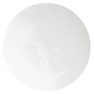 Xpress White color swatch for the Nail Sculpting Powders