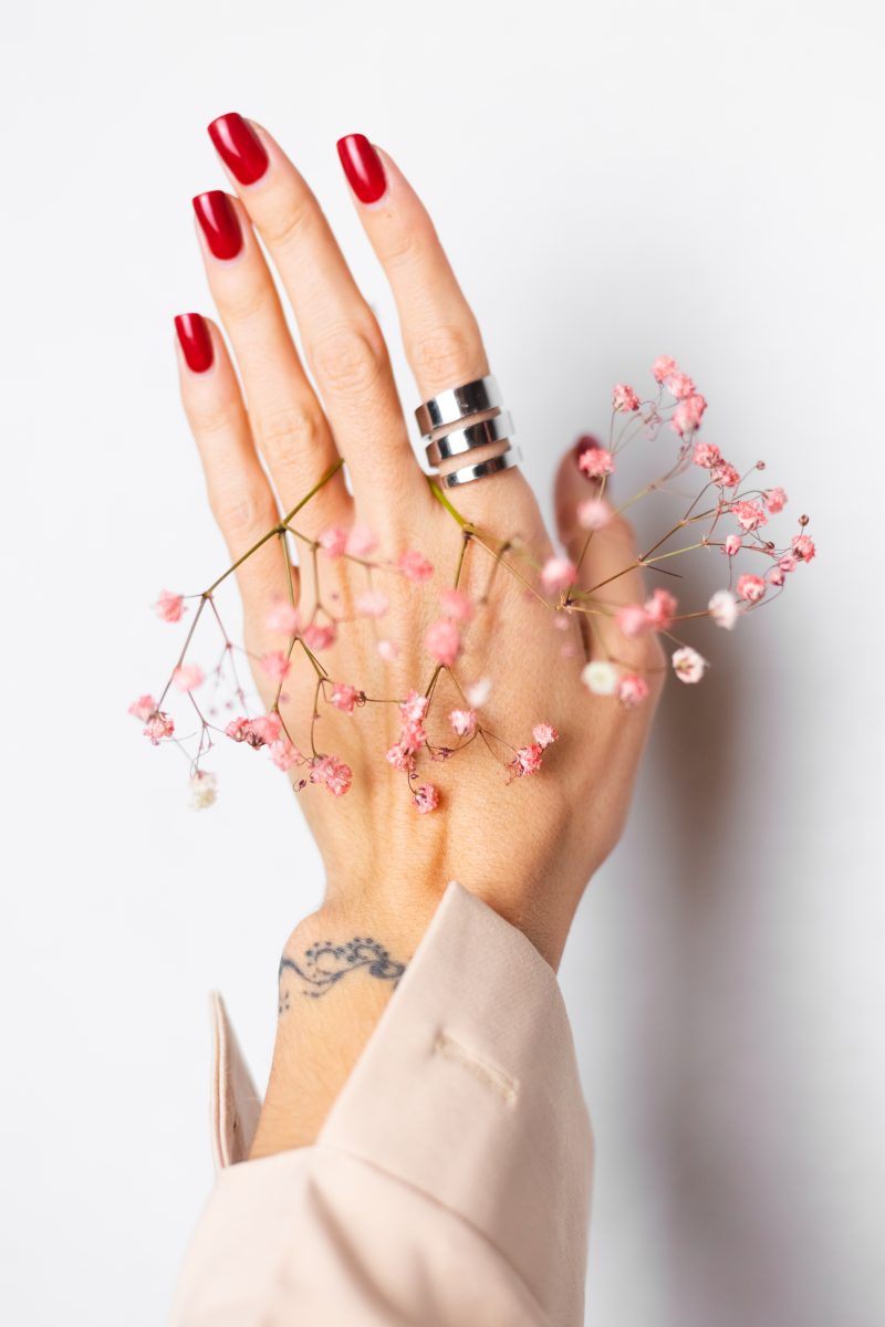 Soft gentle photo of woman hand with big ring red manicure hold cute little pink dried flowers isolated on white background, spring mood. spring 2025 nail shade. spring 2025 Celebrity Nail Trends