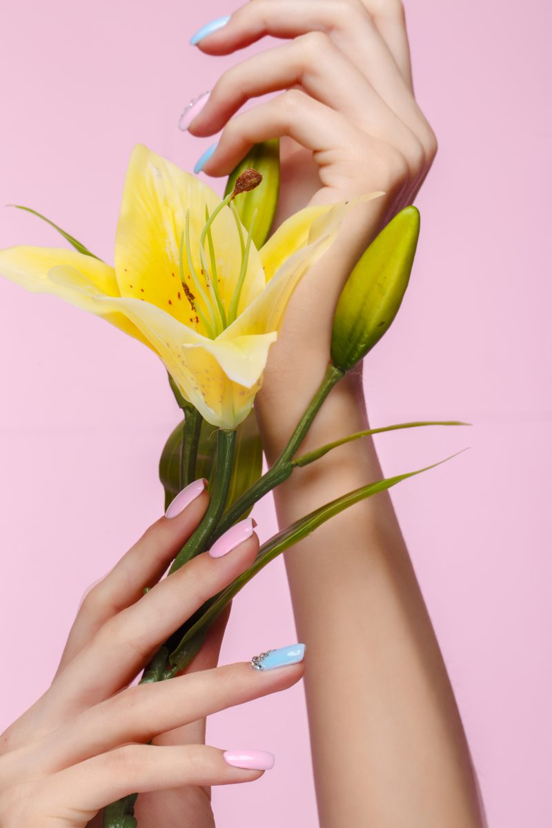 Beautiful pink and blue manicure with crystals on female hand with flowers. Close-up. Picture taken in the studio. summer nails. summer 2025 nails. summer designs.