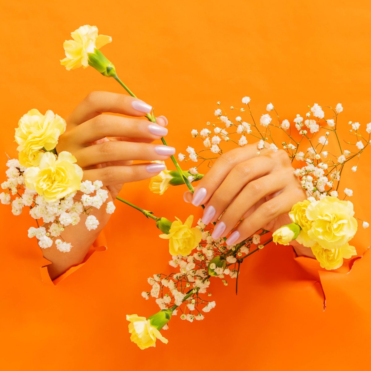A close-up of hands with light lavender manicured nails holding yellow flowers and white baby's breath against a vibrant orange background. A beauty of well-groomed nails and natural elements, making it ideal for promoting Morgan Taylor Naturals nail products.